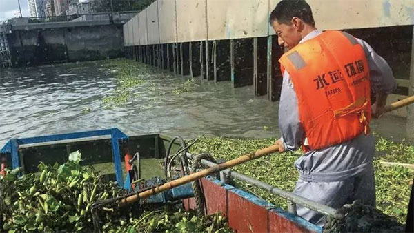 江西赣州河面水葫芦打捞及水面垃圾清运服务保洁项目