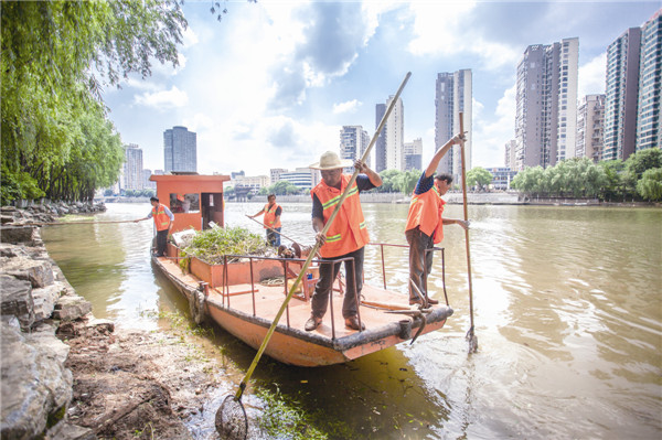 河道水域清洁